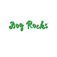 Dog Rocks logo – pet brand collaboration with Angus and Layla