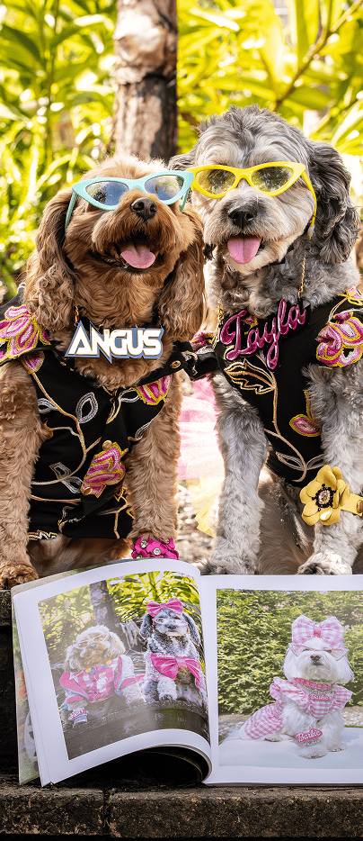 Two dogs in custom vests and sunglasses posing next to an open magazine showcasing their feature